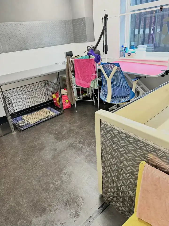 Commercial clean after Omni Professional cleaning